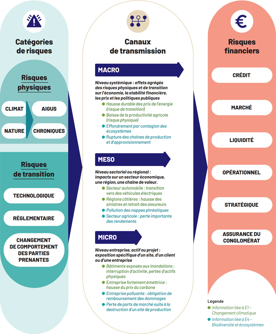 Catégories de risques : Risques physiques : CLIMAT AIGUS - NATURE CHRONIQUES - Risques de transition : TECHNOLOGIQUE - RÉGLEMENTAIRE - CHANGEMENT DE COMPORTEMENT DES PARTIES PRENANTES | Canaux de transmission : MACRO : Niveau systémique : effets agrégés des risques physiques et de transition sur l’économie, la stabilité financière, les prix et les politiques publiques : Hausse durable des prix de l’énergie (risque de transition), Baisse de la productivité agricole (risque physique),  Effondrement par contagion des écosystèmes, Rupture des chaînes de production et d’approvisionnement - MESO Niveau sectoriel ou régional : impacts sur un secteur économique, une région, une chaîne de valeur. : Secteur automobile : transition vers des véhicules électriques, Régions côtières : hausse des sinistres et retrait des assureurs, Pollution des nappes phréatiques, Secteur agricole : perte importante des rendements - MICRO : Niveau entreprise, actif ou projet : exposition spécifique d’un site, d’un client ou d’une entreprise : Bâtiments exposés aux inondations : interruption d’activité, pertes d’actifs physiques, Entreprise fortement émettrice : hausse du prix du carbone,  Entreprise polluante : obligation de remboursement des dommages, Perte de parts de marché suite à la destruction d’un site de production | Risques financiers : CRÉDIT - MARCHÉ - LIQUIDITÉ - OPÉRATIONNEL - STRATÉGIQUE - ASSURANCE DU CONGLOMÉRAT | Légende : Information liée à E1 - Changement climatique, Information liée à E4 – Biodiversité et écosystèmes
