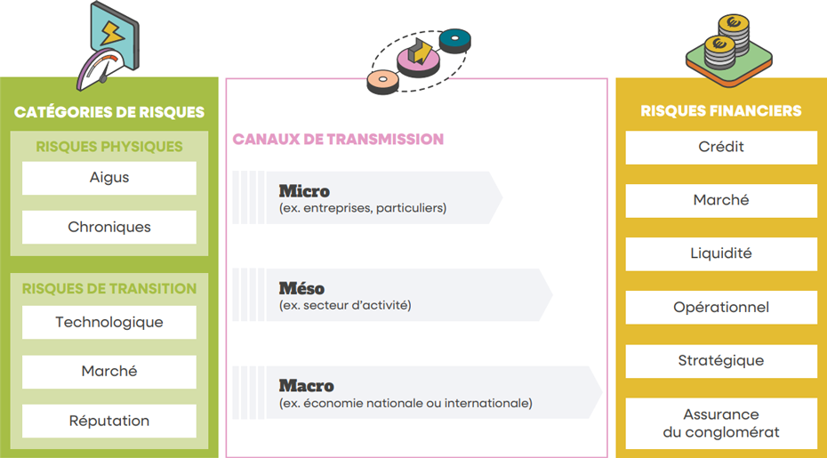 CATÉGORIES DE RISQUES : RISQUES PHYSIQUES Aigus - Chroniques - RISQUES DE TRANSITION Technologique - Marché - Réputation | CANAUX DE TRANSMISSION : Micro (ex. entreprises, particuliers) - Méso (ex. secteur d’activité) - Macro (ex. économie nationale ou internationale) | RISQUES FINANCIERS : Crédit - Marché - Liquidité - Opérationnel - Stratégique - Assurance  du conglomérat