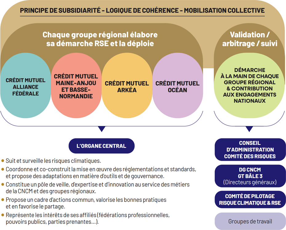 PRINCIPE DE SUBSIDIARITÉ - LOGIQUE DE COHÉRENCE - MOBILISATION COLLECTIVE : Chaque groupe régional élabore sa démarche RSE et la déploie : CRÉDIT MUTUEL ALLIANCE FÉDÉRALE - CRÉDIT MUTUEL MAINE-ANJOU ET BASSE-NORMANDIE - CRÉDIT MUTUEL ARKÉA - CRÉDIT MUTUEL OCÉAN : L’ORGANE CENTRAL : Suit et surveille les risques climatiques. - Coordonne et co-construitla mise en œuvre des réglementations et standards, et propose des adaptations en matière d’outils et de gouvernance. - Constitue un pôle de veille, d’expertise et d’innovation au service des métiers de la CNCM et des groupes régionaux. - Propose un cadre d’actions commun, valorise les bonnes pratiques et en favorise le partage. - Représente les intérêts de ses affiliés (fédérations professionnelles, pouvoirs publics, parties prenantes...). _ Validation / arbitrage / suivi : DÉMARCHE À LA MAIN DE CHAQUE GROUPE RÉGIONAL et CONTRIBUTION AUX ENGAGEMENTS NATIONAUX - CONSEIL D’ADMINISTRATION COMITÉ DES RISQUES - DG CNCM GT BÂLE 3 (Directeurs généraux) - COMITÉ DE PILOTAGE RISQUE CLIMATIQUE & RSE - Groupes de travail