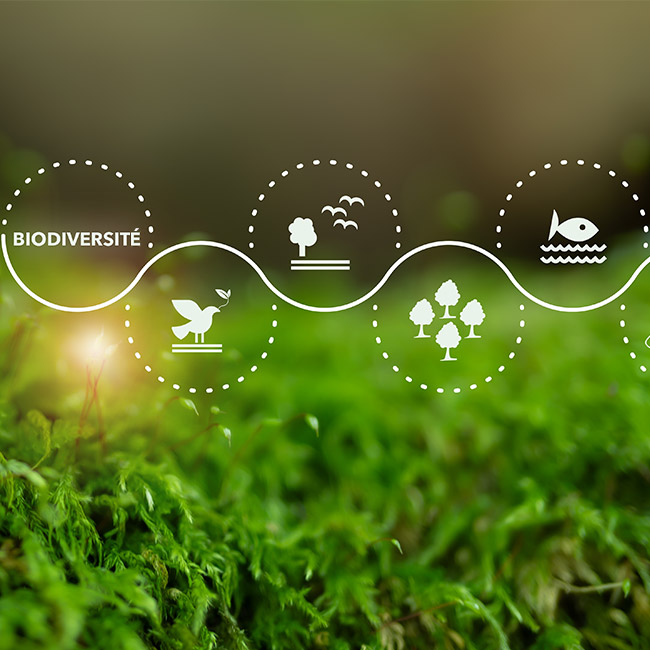 biodiversité